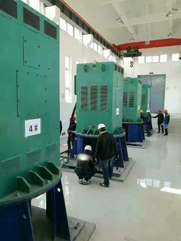 YKS6302-10某污水处理厂使用我厂的立式高压电机安装现场
