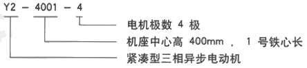 YR系列(H355-1000)高压YKS6302-10三相异步电机西安西玛电机型号说明